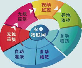 農(nóng)村物聯(lián)網(wǎng)綜合信息服務(wù)項目網(wǎng)絡(luò)技術(shù)服務(wù)收尾工作全面展開